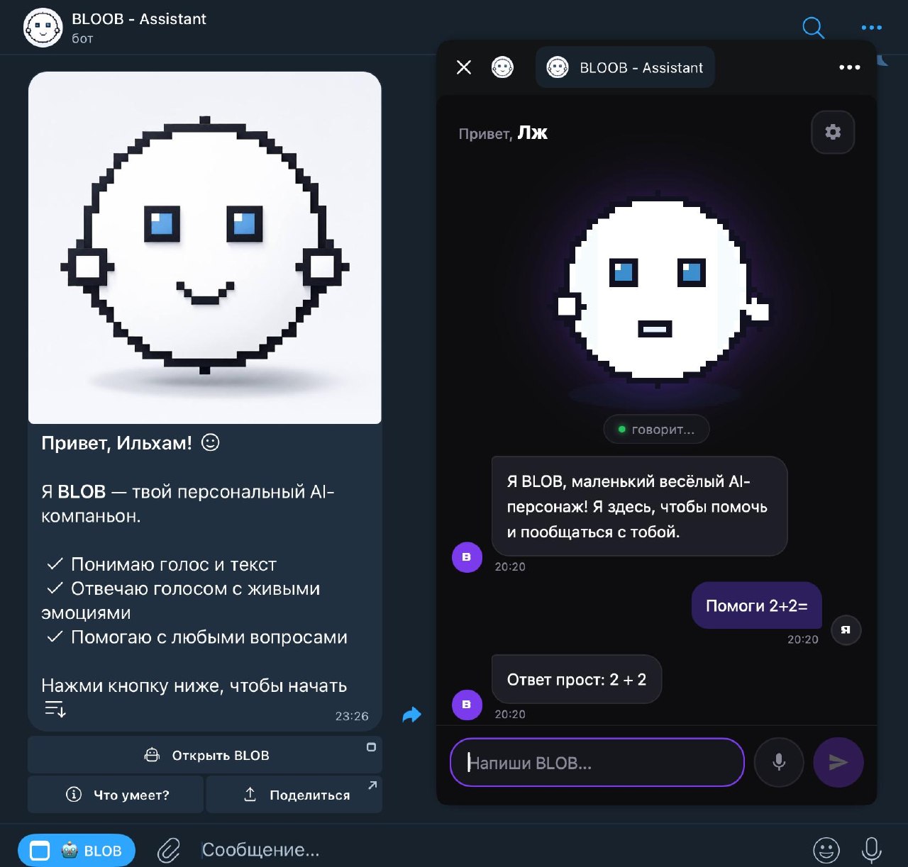 BLOB Assistant